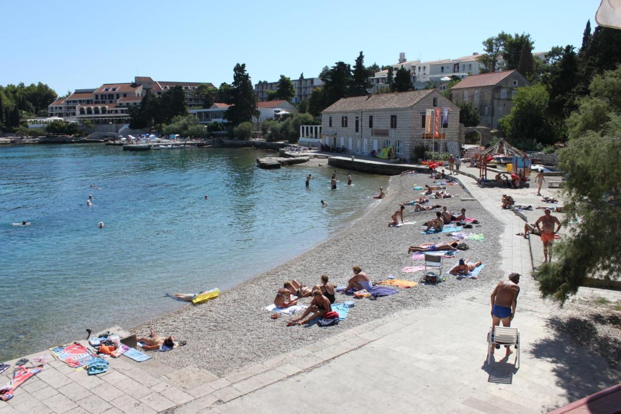 Apartments By The Sea Korcula - 10051 Eksteriør billede